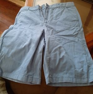 Children's Place Boys Light Blue Shorts Size 16